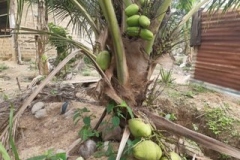 3a4f1022-b18f-40ff-977e-4babce7221c2