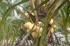 d0ef8a5b-7f69-4c65-8938-d8fc9a3f2a32